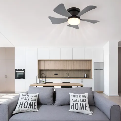 Ventilatore da Soffitto con Luce LED CCT Regolabile Nero 5 Pale Grigio