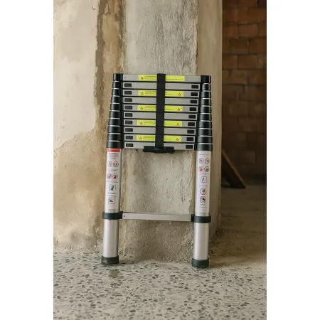Scala Telescopica 10 Gradini Estensibile in Alluminio Scaletta Allungabile 290 | BricoShop24