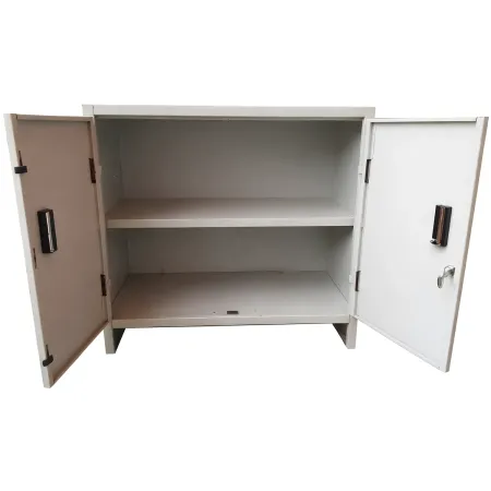 Armadietto Basso in Acciaio con 80x80cm 2 Ante Ripiano Interno