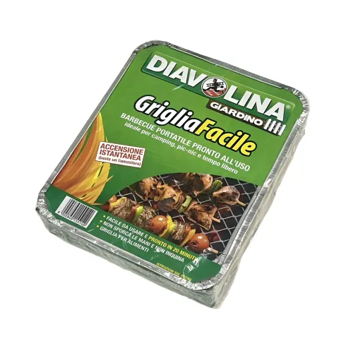 Barbecue Portatile a Carbonella 32x25x5 cm Leggero Compatto