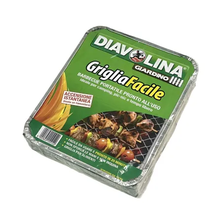 Barbecue Portatile a Carbonella 32x25x5 cm Leggero Compatto