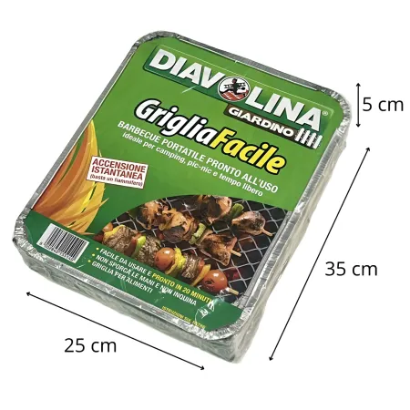 Barbecue Portatile a Carbonella 32x25x5 cm Leggero Compatto