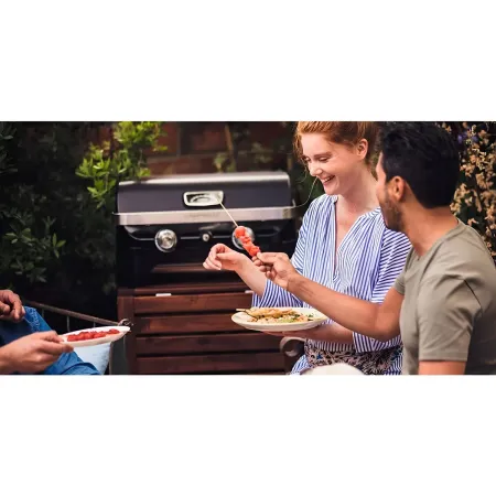 Barbecue a Gas 2 Fuochi Campignaz da Tavolo 65x52x36 cm Coperchio