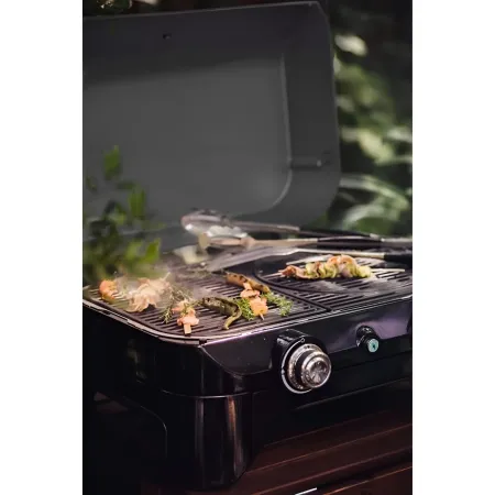 Barbecue a Gas 2 Fuochi Campignaz da Tavolo 65x52x36 cm Coperchio