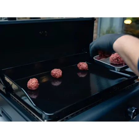 Barbecue a Gas Campignaz Plancha 65x56x31 cm 2 Fuochi Piastra Ghisa