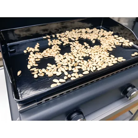 Barbecue a Gas Campignaz Plancha 65x56x31 cm 2 Fuochi Piastra Ghisa