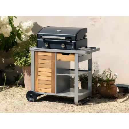 Barbecue a Gas Campignaz Plancha 65x56x31 cm 2 Fuochi Piastra Ghisa