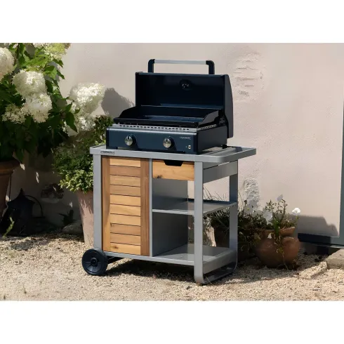 Barbecue a Gas Campignaz Plancha 65x56x31 cm 2 Fuochi Piastra Ghisa