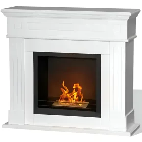Camino a Bioetanolo Bianco da Terra 3,4 kW Lana di Roccia 1,8L Interno