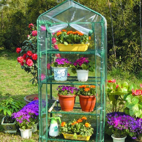Serra da Giardino 4 Ripiani Terrazzo per Piante Fiori Orto Copertura Telo in Pvc