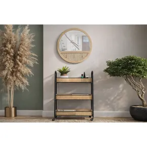 Carrello Portapiante con Ruote 3 Ripiani in Metallo Beige Nero 2