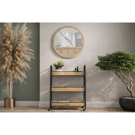 Carrello Portapiante con Ruote 3 Ripiani in Metallo Beige Nero