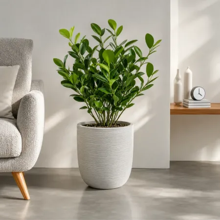 Vaso in Resina Bianco 35x34 Resistente Raggi UV Materiale Riciclabile