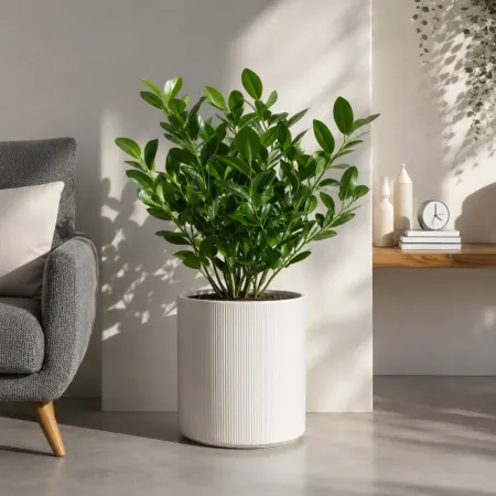 Vaso in Resina Bianco 36x35 Resistente Raggi UV Materiale Riciclabile
