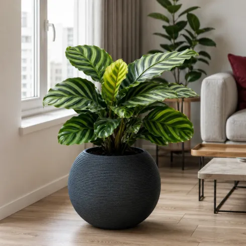 Vaso in Resina Grigio 40x33 Rotazionale da Interno Esterno Atossico