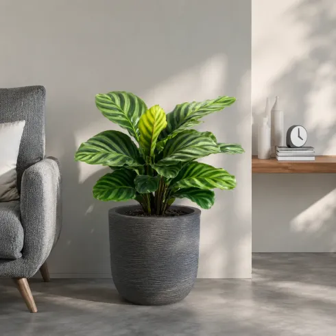 Vaso in Resina Grigio 35x34 Resistente Raggi UV Materiale Riciclabile