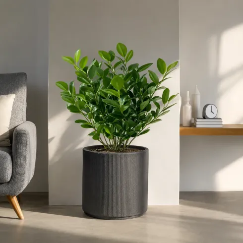 Vaso in Resina Grigio 36x35 Resistente Raggi UV Materiale Riciclabile