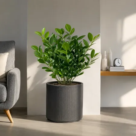 Vaso in Resina Grigio 36x35 Resistente Raggi UV Materiale Riciclabile