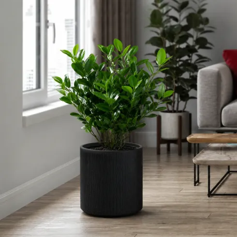 Vaso in Resina Grigio 36x35 Resistente Raggi UV Materiale Riciclabile