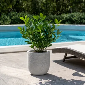 Vaso in Resina Beige 35x34 Resistente Raggi UV Materiale Riciclabile 2