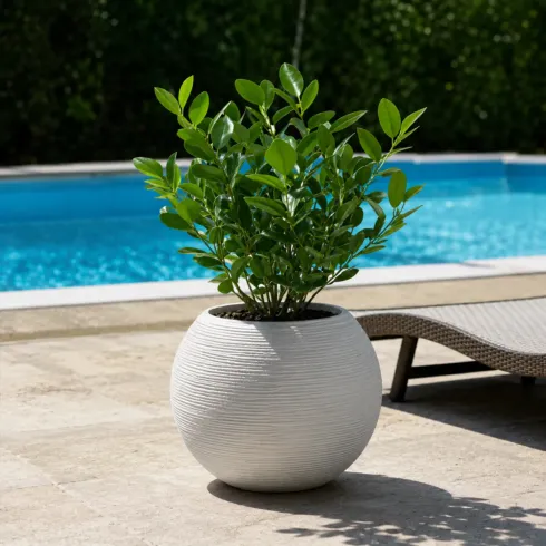 Vaso in Resina Bianco 40x33 Rotazionale da Interno Esterno Atossico