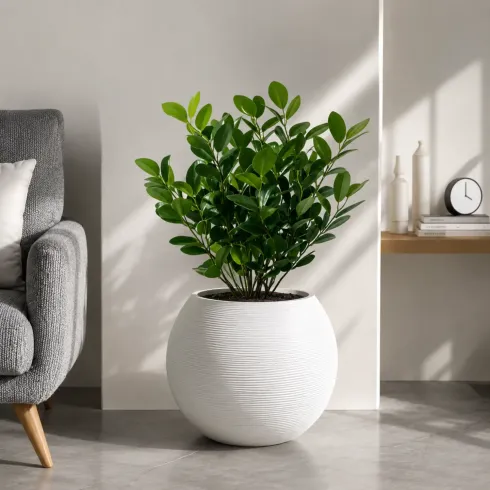Vaso in Resina Bianco 40x33 Rotazionale da Interno Esterno Atossico