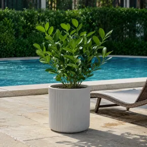 Vaso in Resina Beige 36x35 Resistente Raggi UV Materiale Riciclabile 2
