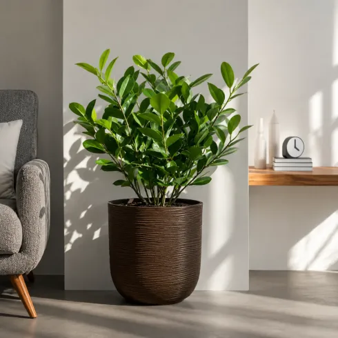 Vaso in Resina Marrone 35x34 Resistente Raggi UV Materiale Riciclabile