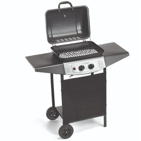 Barbecue a Gas Ompagrill 2 Fuochi 98x43x100cm Termometro Pietra Lavica