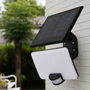 Proiettore Solare LED 8W con Pannello Orientabile Sensore Movimento 2