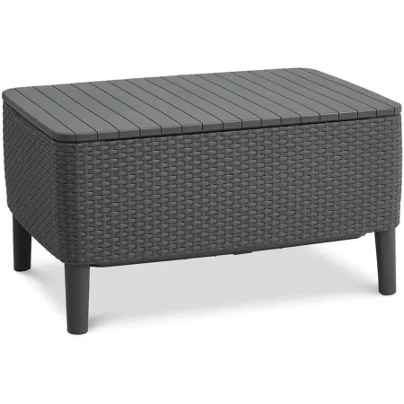 Salotto da Esterno 2 Posti in Resina con Tavolo Contenitore Effetto Legno