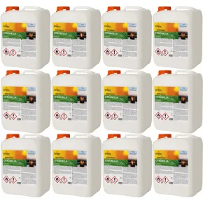 12 Taniche 5L Bioetanolo con Citronella per Biocamini da Esterno