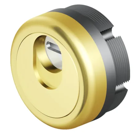 Defender Magnetico Disec MAG 3G Porta Blindata Cilindro Europeo Oro Lucido