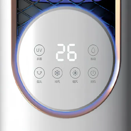 Ventilatore Nebulizzatore DCG Caldo 1800W Freddo 60W 3L Bianco Touch