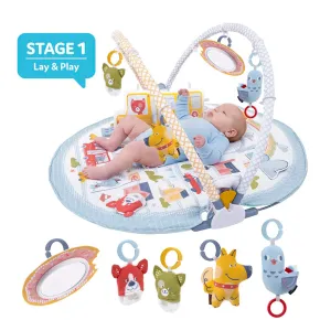 Palestrina Evolutiva Neonato 3 in 1 con Supporto Seduta Giochi 80x90 cm 2