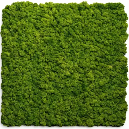 Set 2 Pannelli Fonoassorbente Acustico Effetto Muschio Erba 60x60 cm