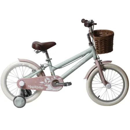 Bicicletta 16" Bambini Rotelle Removibili Verde Regolabile Cestino