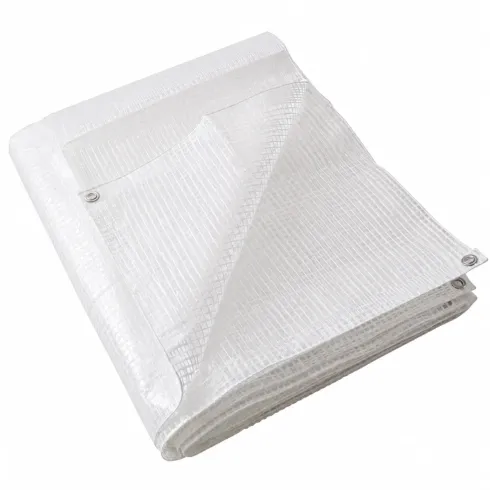 Telo Occhiellato Impermeabile 3x6 m PE Bianco Copertura Lavabile