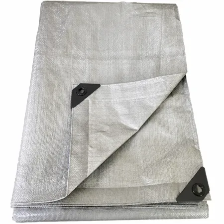 Copertura Telo Rinforzato Occhiellato Grigio 6x10m 200g/m2 Lavabile