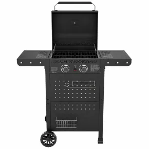 Barbecue a Gas 2 Bruciatori Acciaio Inox 5 kW Griglia in Ghisa Smaltata 2