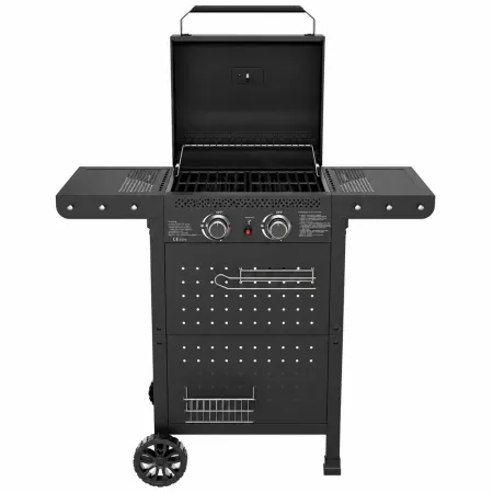 Barbecue a Gas 2 Bruciatori Acciaio Inox 5 kW Griglia in Ghisa Smaltata