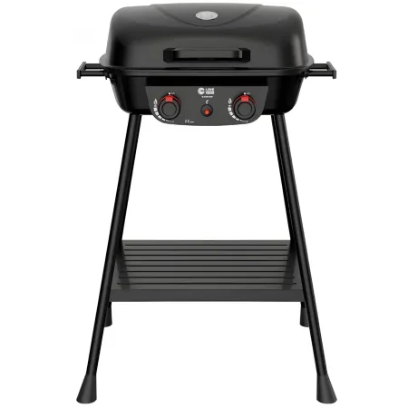 Barbecue da Esterno a Gas Griglia in Ghisa 2 Fuochi 5kW Acciaio Inox
