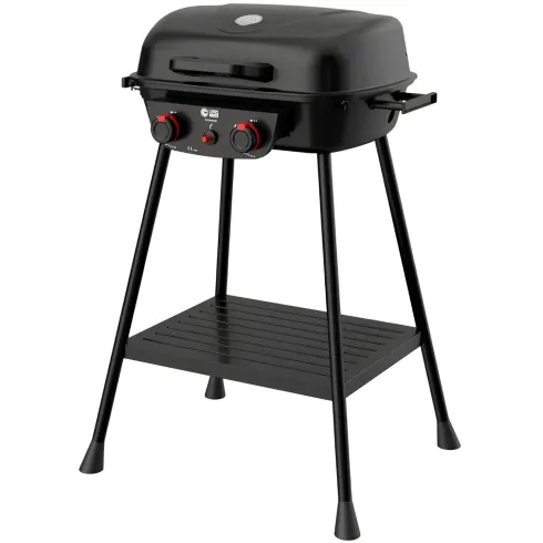 Barbecue da Esterno a Gas Griglia in Ghisa 2 Fuochi 5kW Acciaio Inox
