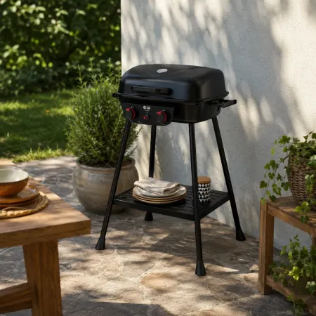 Barbecue da Esterno a Gas Griglia in Ghisa 2 Fuochi 5kW Acciaio Inox