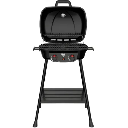 Barbecue da Esterno a Gas Griglia in Ghisa 2 Fuochi 5kW Acciaio Inox