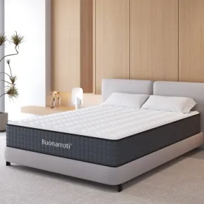 Materasso Matrimoniale 160x200x25 cm Memory Foam con Molle 2