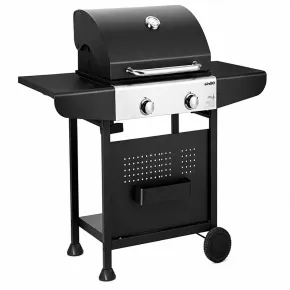 Barbecue a Gas GPL da Esterno 2 Bruciatori con Coperchio Acciaio Inox