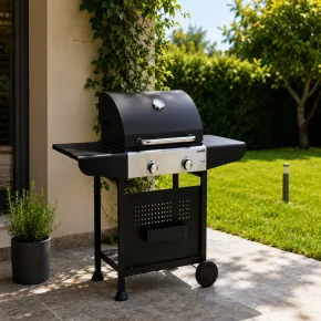 Barbecue a Gas GPL da Esterno 2 Bruciatori con Coperchio Acciaio Inox 2