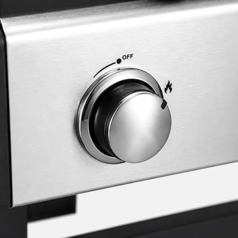 Barbecue a Gas GPL da Esterno 2 Bruciatori con Coperchio Acciaio Inox