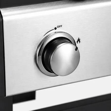 Barbecue a Gas GPL da Esterno 2 Bruciatori con Coperchio Acciaio Inox